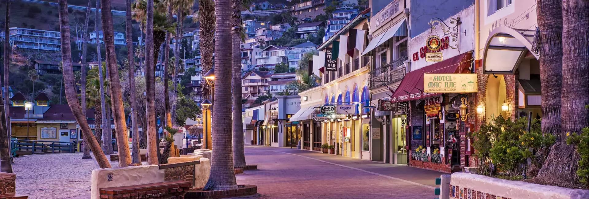 A charming seaside promenade lined with shops and palm trees at dusk.