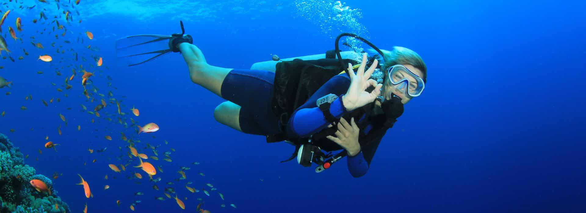 A scuba diver gives an "okay" signal underwater among colorful fish.