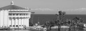 Black and white image of a coastal building with palm trees and the ocean in the background.