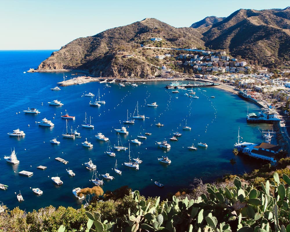 A scenic view of a coastal harbor filled with boats, surrounded by hills and a quaint town.