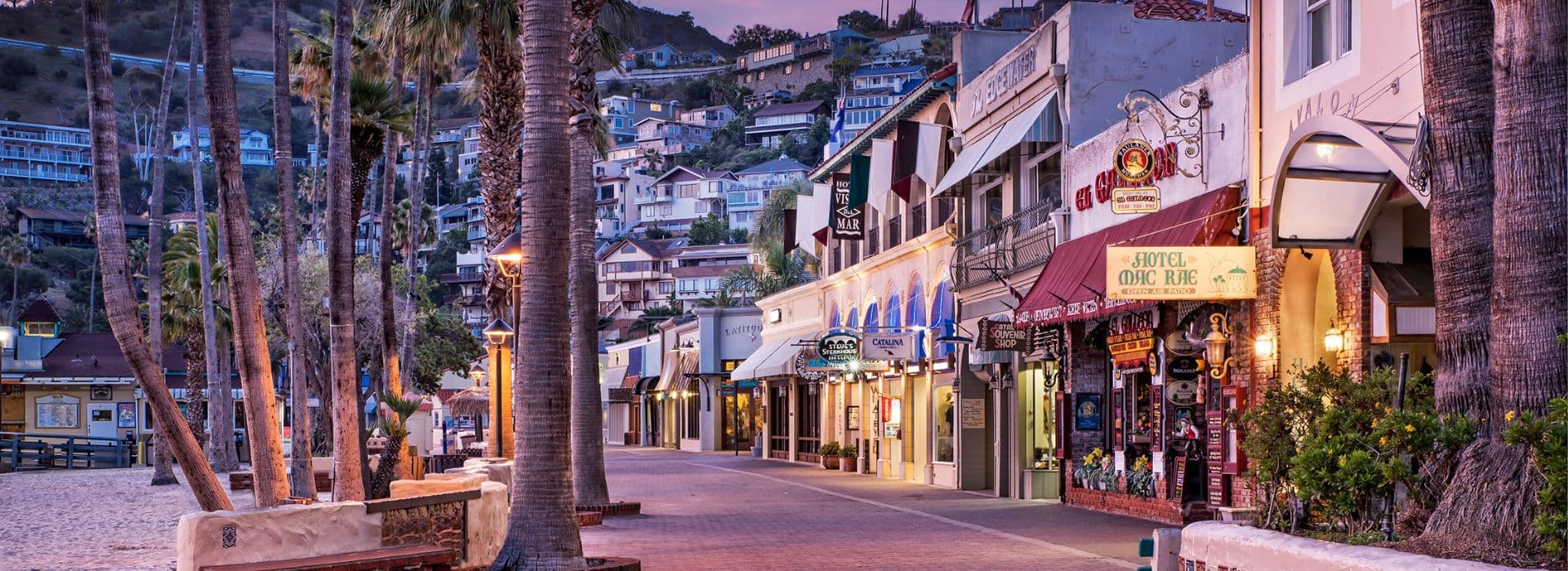 A quiet beachfront promenade lined with shops and palm trees at dusk.