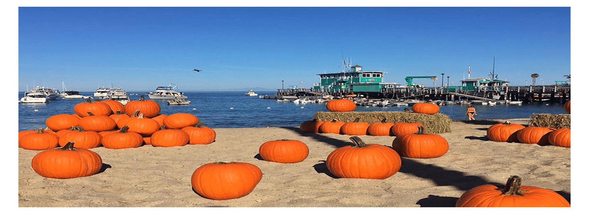 Stacks of orange pumpkins on a beige sandy beach in front of a blue ocean and boats