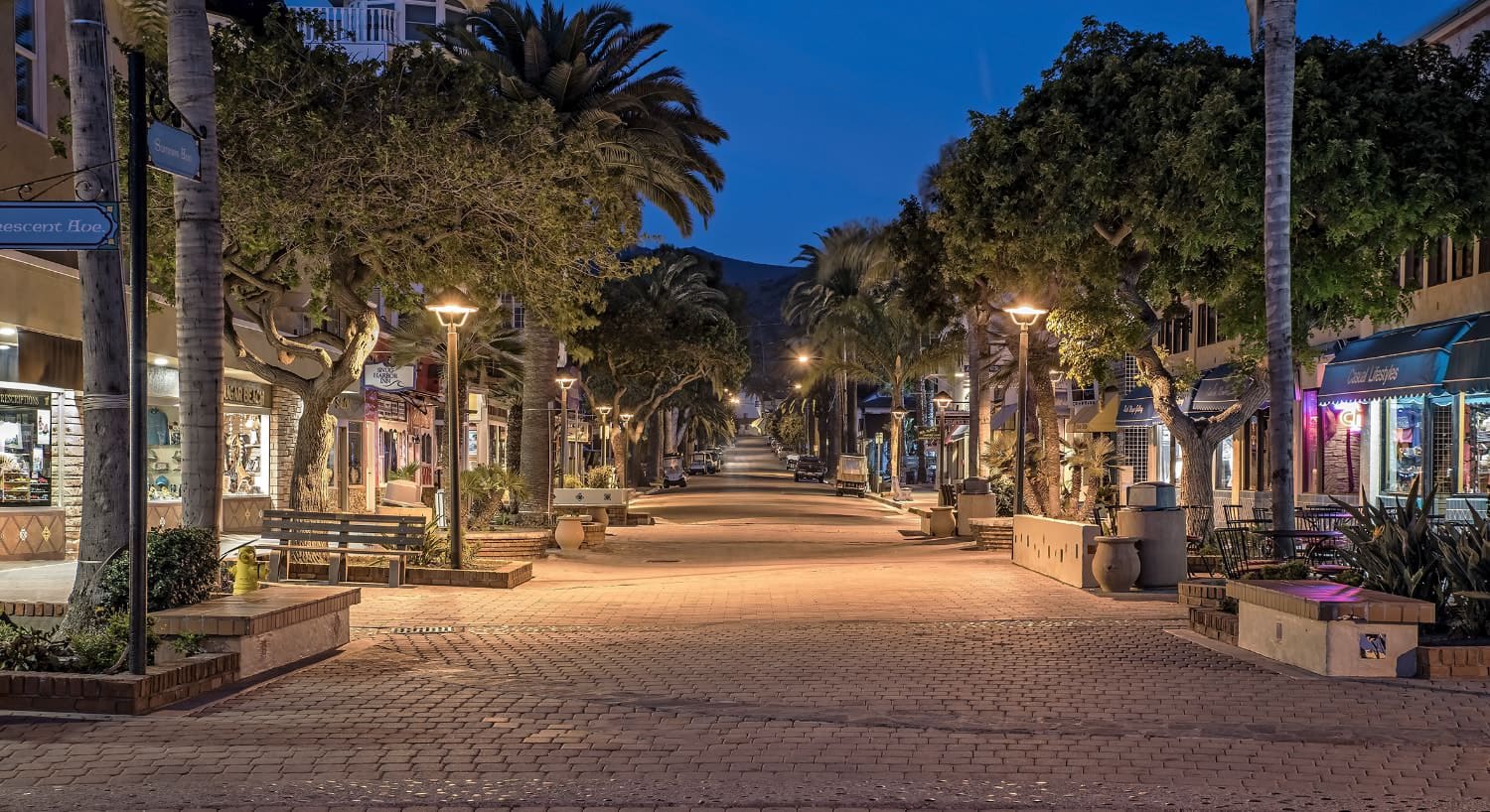 Brick street surrounded by retails shops and trees hills in the background at night