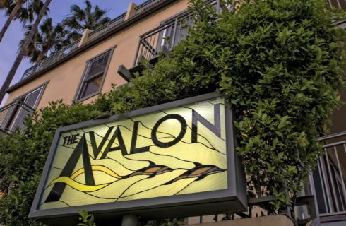 Close up view of a sign with The Avalon text and two dolphins surrounded by green shrubs