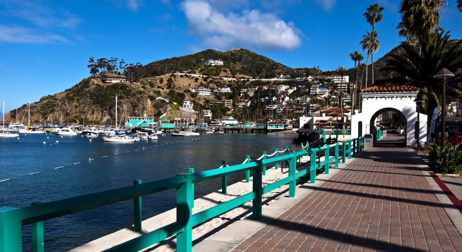 Beach front full of retail and lodging businesses and a harbor surrounded by palm trees and hills in the background