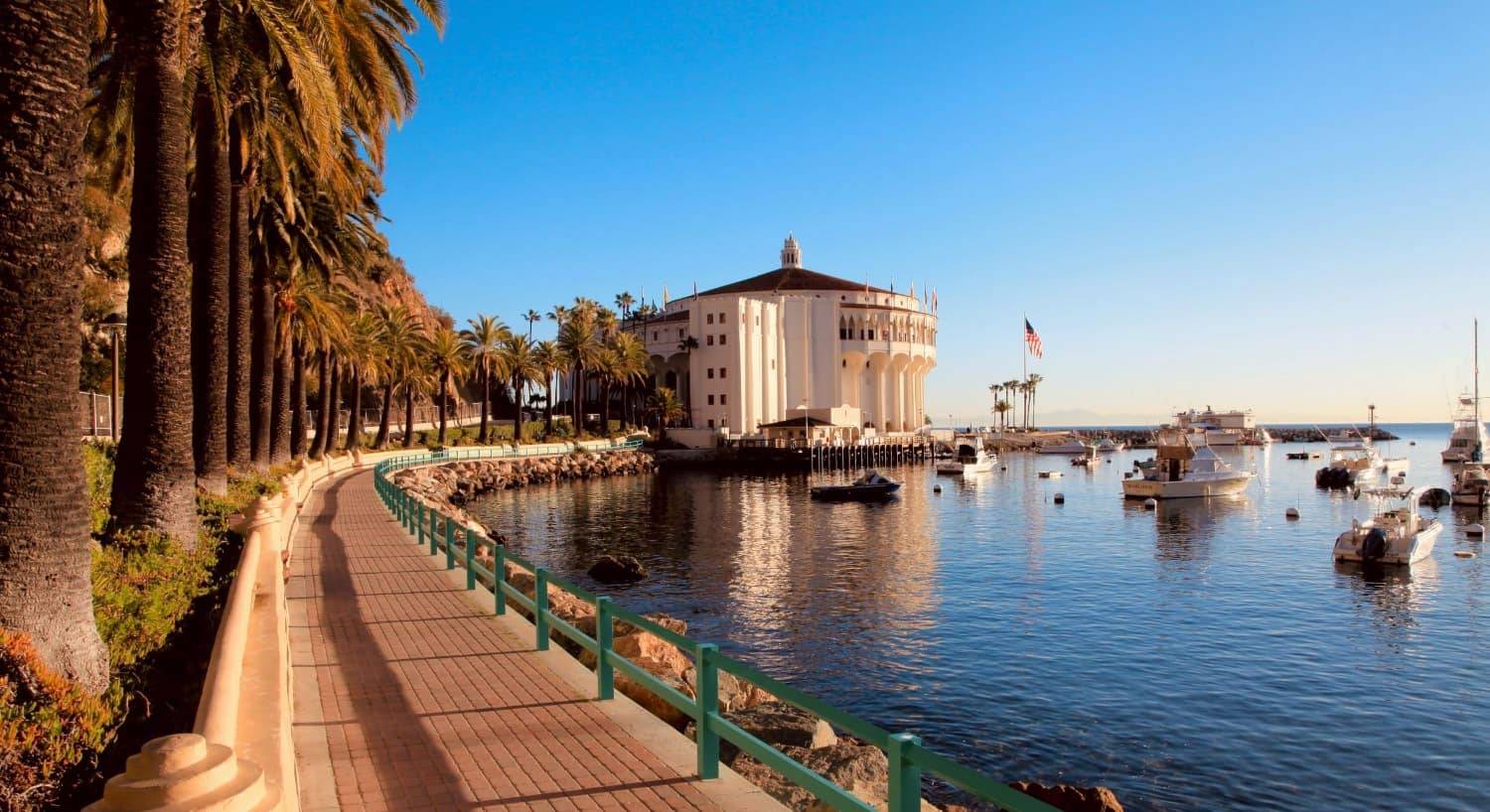 Sidewalk surrounded by palm trees near the water with boats and large white building in the background